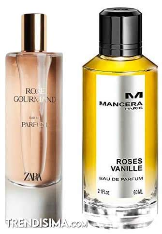 zara perfume chloe dupe|zara rose gourmand dupe.